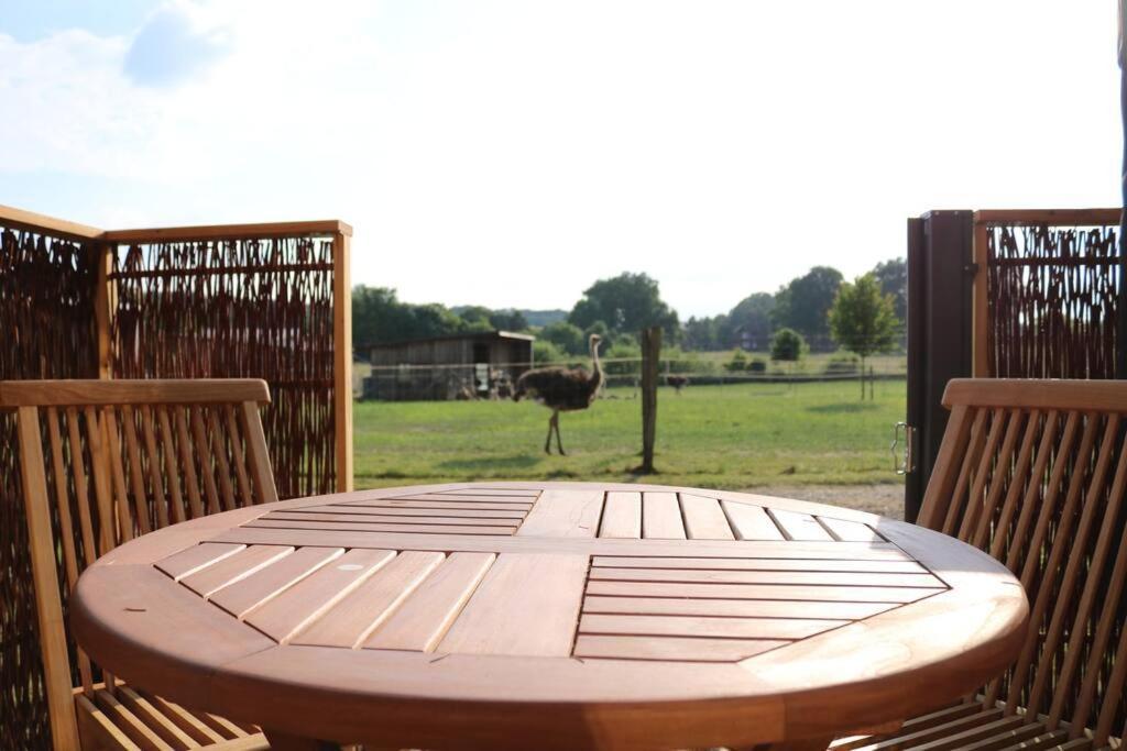 Tiny Haus Straussenblick 2 Ferienhaus Bad Fallingbostel